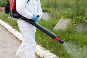 If you need mosquito treatment, contact the Greenville Mosquito Treatment experts at Palmetto Mosquito and Fire Ant. https://www.google.com/maps?cid=7681276375501986770