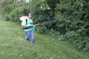 If you need mosquito spray around your yard, contact the Greenville Mosquito Spray experts at Palmetto Mosquito and Fire Ant. https://www.google.com/maps?cid=7681276375501986770