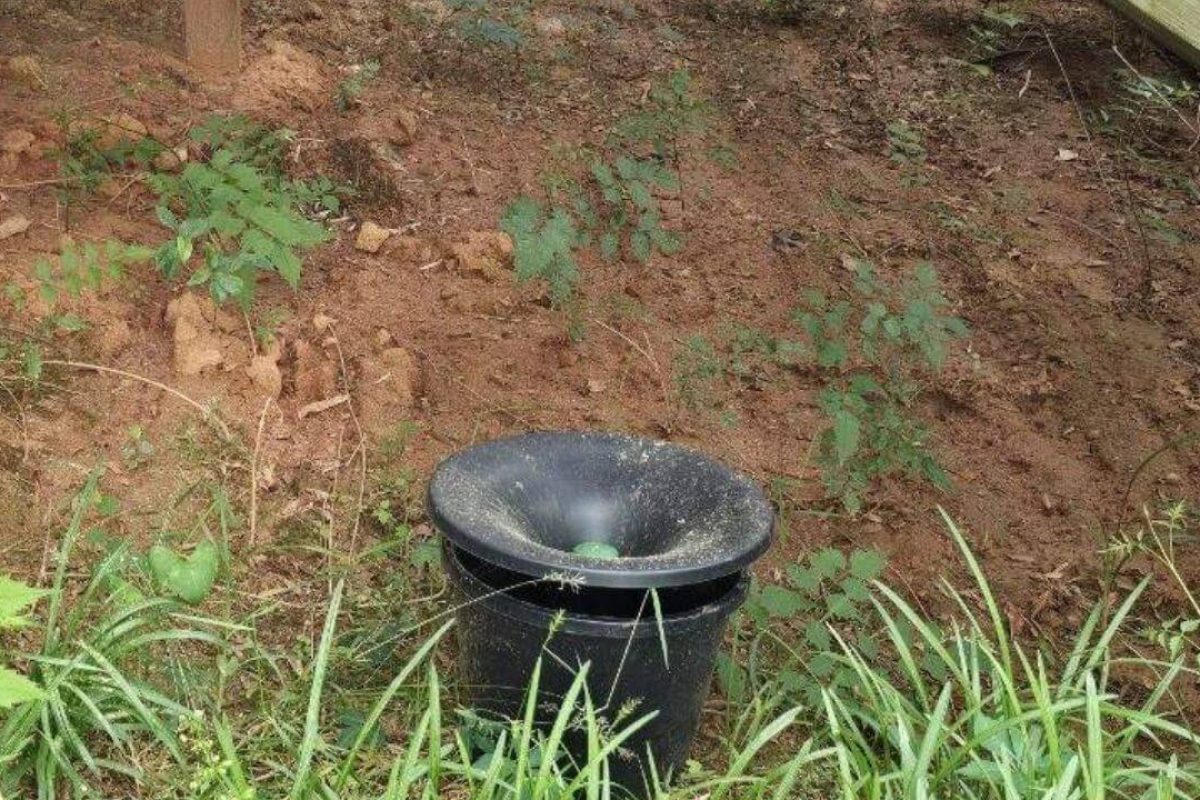Mosquito Control placement under deck palmetto mosquito and fire ant greenville sc If you require Greenville Mosquito Control, call the mosquito pros at Palmetto Mosquito and Fire Ant. https://www.google.com/maps?cid=7681276375501986770